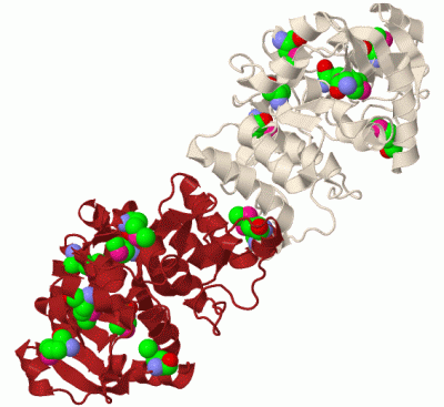 Image Biol.Unit 1 - manually