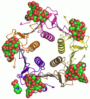 Image Asym./Biol. Unit - manually