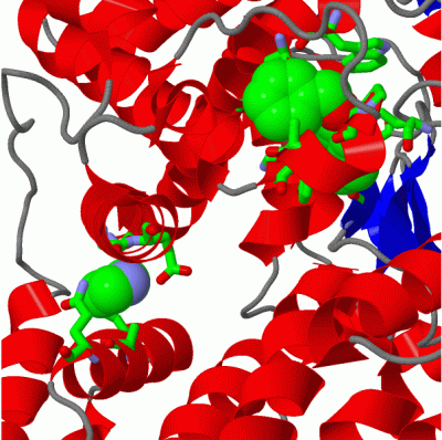 Image Asym./Biol. Unit - manually