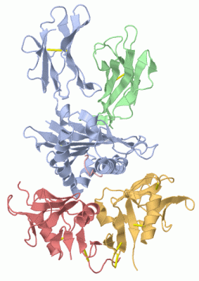 Image Biol.Unit 1 - manually