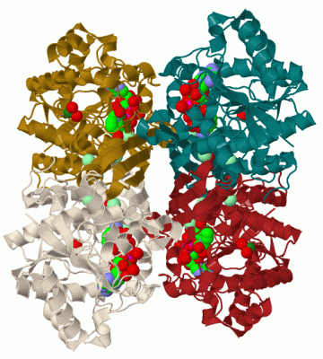 Image Biol.Unit 1 - manually