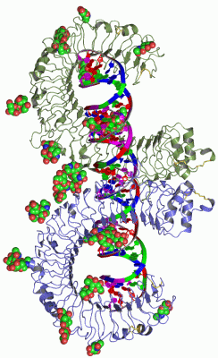 Image Asym./Biol. Unit - manually