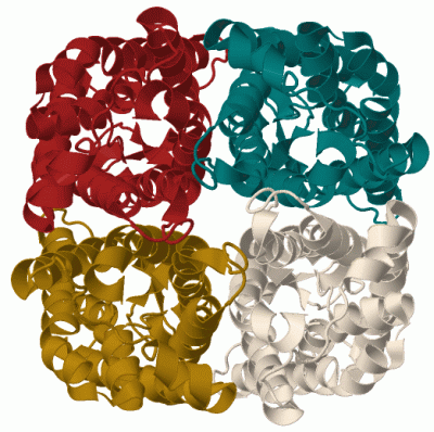 Image Biol.Unit 1 - manually