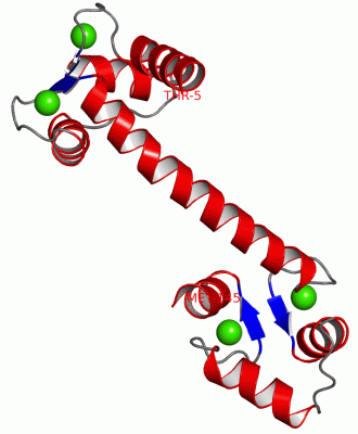 Image Asym./Biol. Unit - manually