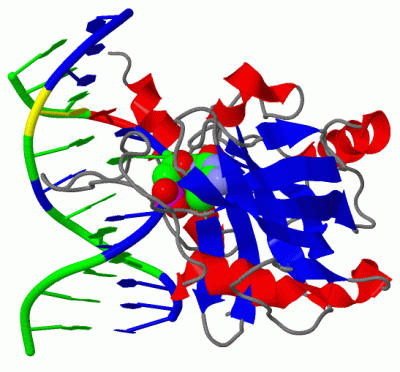 Image Biol.Unit 1 - manually