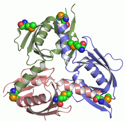 Image Asym./Biol. Unit - manually