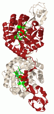 Image Biol.Unit 1 - manually