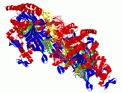 Image Biol.Unit 1 - manually