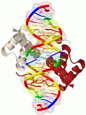 Image Biol.Unit 1 - manually