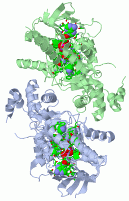 Image Asym./Biol. Unit - manually