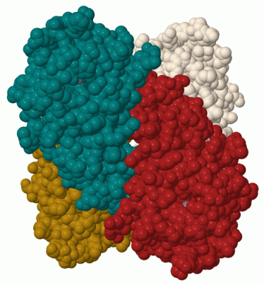 Image Biol.Unit 1 - manually