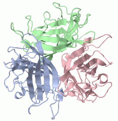 Image Biol.Unit 1 - manually