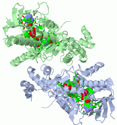 Image Asym./Biol. Unit - manually