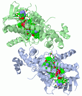 Image Asym./Biol. Unit - manually