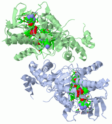 Image Asym./Biol. Unit - manually