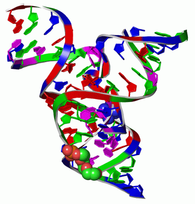 Image Asym./Biol. Unit - manually