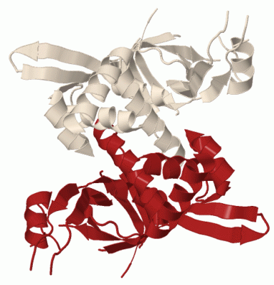 Image Biol.Unit 1 - manually