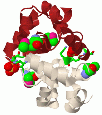 Image Biol.Unit 1 - manually