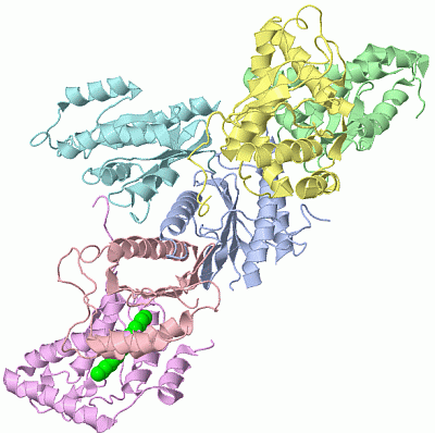 Image Biol.Unit 1 - manually