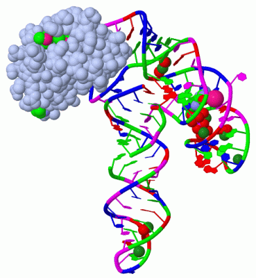 Image Biol.Unit 1 - manually