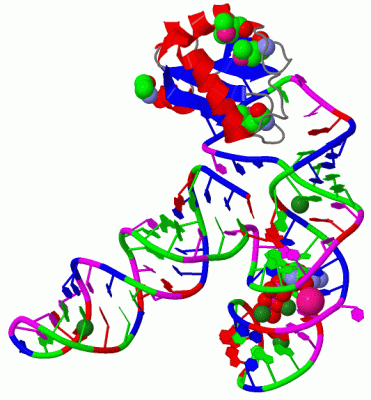 Image Biol.Unit 1 - manually