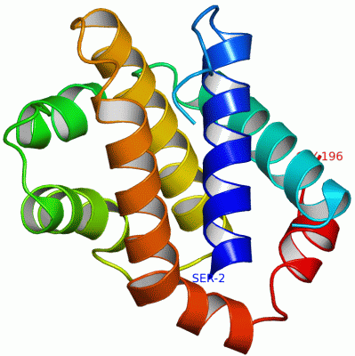 Image Asym./Biol. Unit - manually