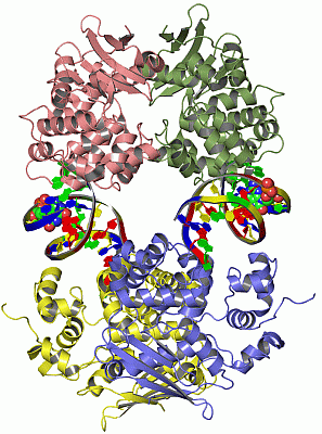 Image Asym./Biol. Unit - manually