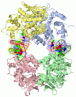 Image Asym./Biol. Unit - manually