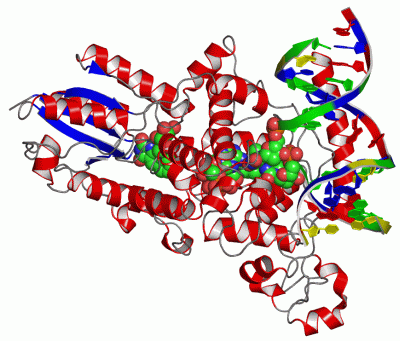 Image Asym./Biol. Unit - manually