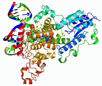 Image Asym./Biol. Unit - manually