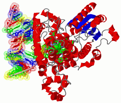 Image Asym./Biol. Unit - manually