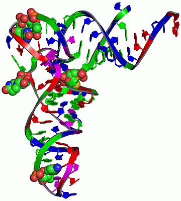 Image Asym./Biol. Unit - manually