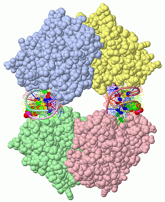 Image Asym./Biol. Unit - manually