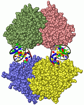 Image Asym./Biol. Unit - manually