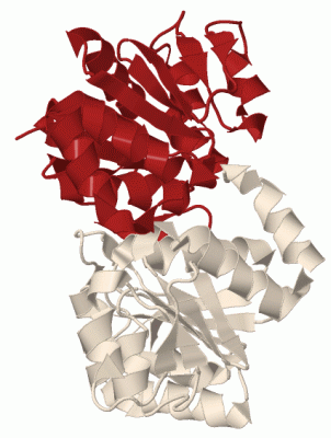 Image Biol.Unit 1 - manually