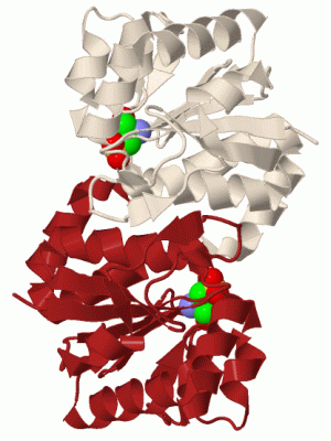 Image Biol.Unit 1 - manually