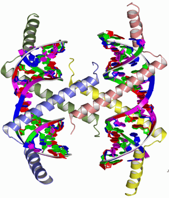 Image Asym./Biol. Unit - manually