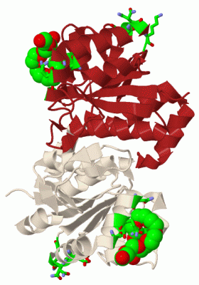 Image Biol.Unit 1 - manually