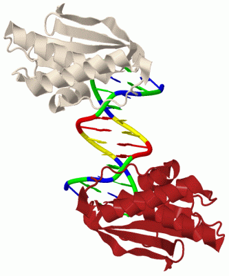 Image Biol.Unit 1 - manually