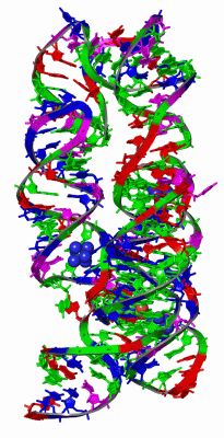 Image Asym./Biol. Unit - manually