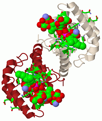 Image Biol.Unit 1 - manually