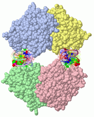 Image Asym./Biol. Unit - manually