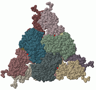 Image Biol.Unit 1 - manually