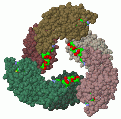 Image Biol.Unit 1 - manually