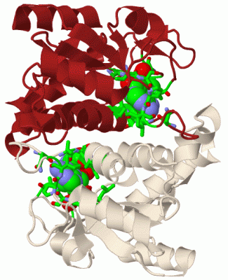 Image Biol.Unit 1 - manually