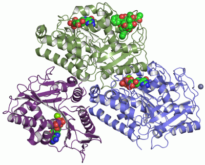 Image Asym./Biol. Unit - manually