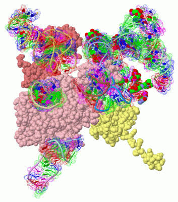 Image Asym./Biol. Unit - manually