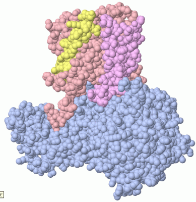 Image Biol.Unit 1 - manually