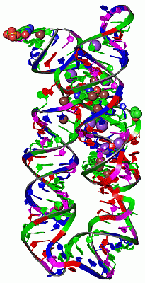 Image Asym./Biol. Unit - manually