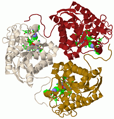 Image Biol.Unit 1 - manually